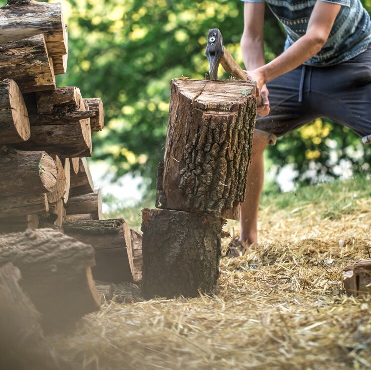 Cutting Branches